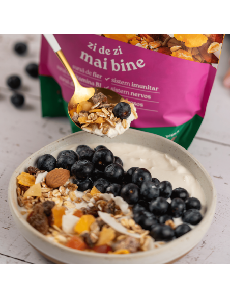 MUSLI CU FRUCTE 1KG