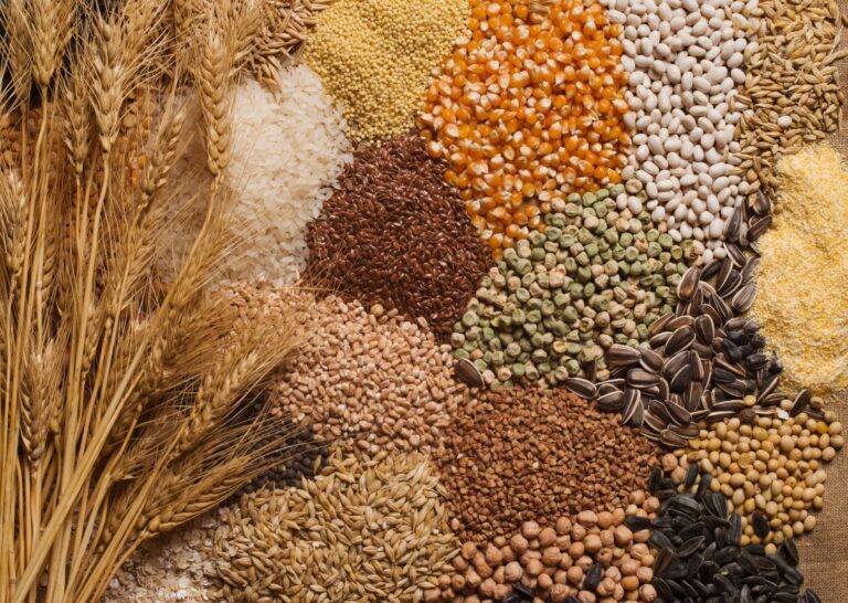 Cele mai bune și sănătoase cereale integrale: tipuri, beneficii, contraindicații și cum să le consumi