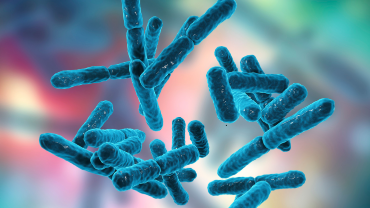 Bifidobacterium lactis: beneficiile sale în organism