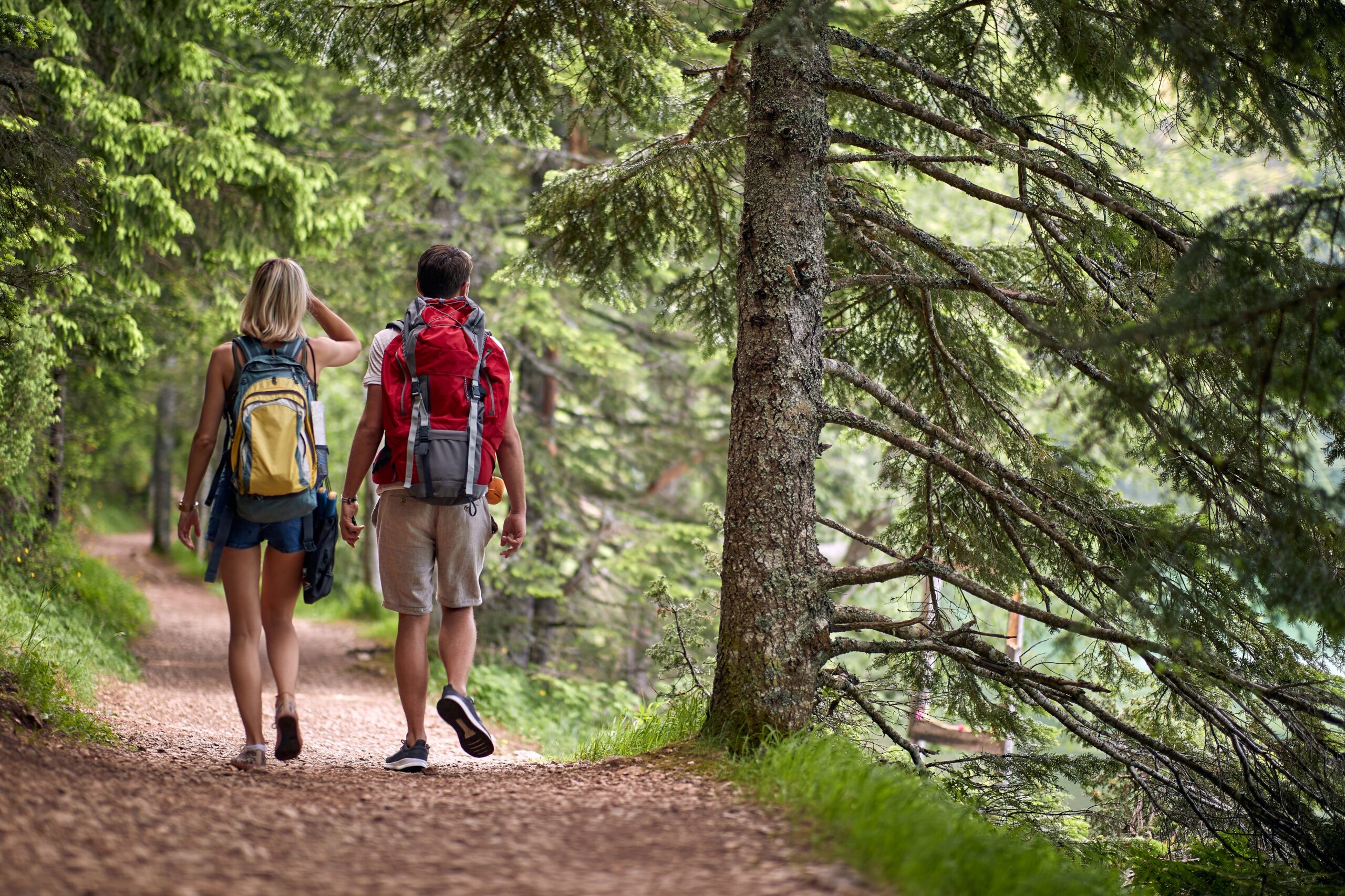 A,Couple,Is,Hiking,The,Forest,Path,On,A,Beautiful